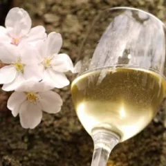 日本経済新聞にDFBミードが掲載されました!