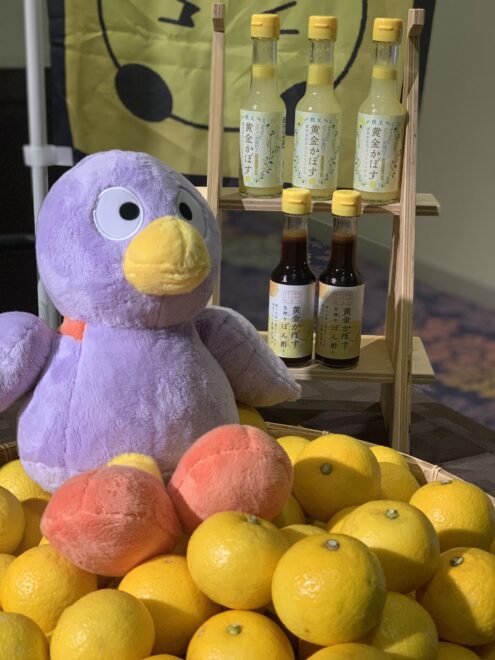 小鹿野町産秩父黄金かぼす