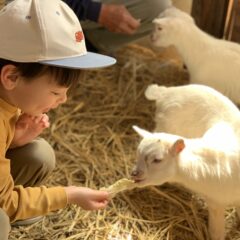 移住&子育て&酒造り - 秩父でミード造り - 小鹿野土産