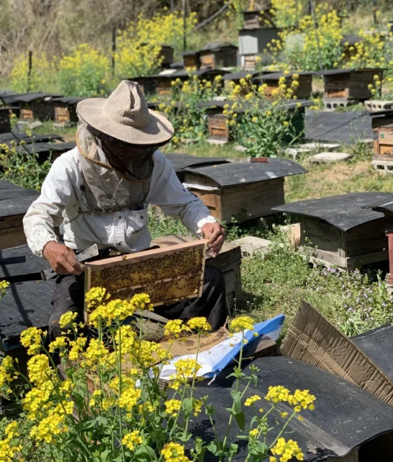 春の小鹿野の養蜂家の様子