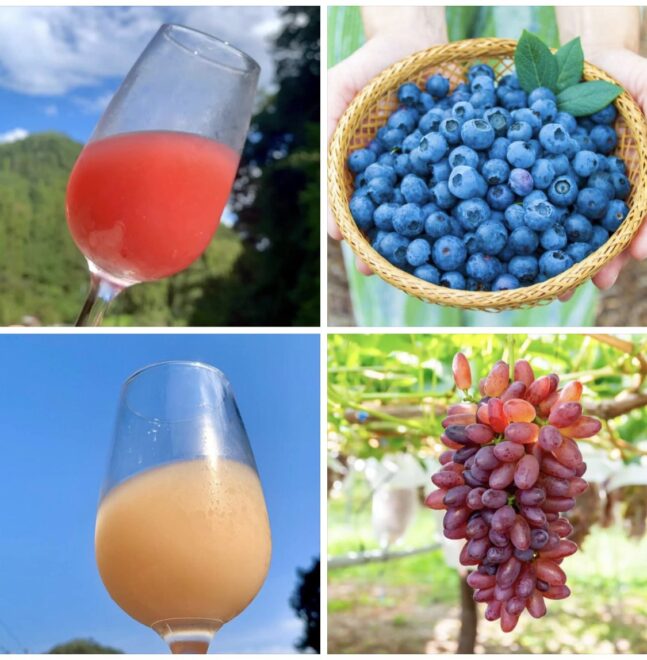 新作ミード【フルーツミード】の原料のフルーツとグラスに入ったミードの写真